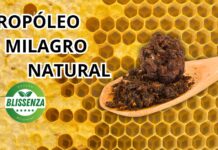 Propóleo: El Milagro Natural Respaldado por la Ciencia Cucharada llena de propóleo fresco solido