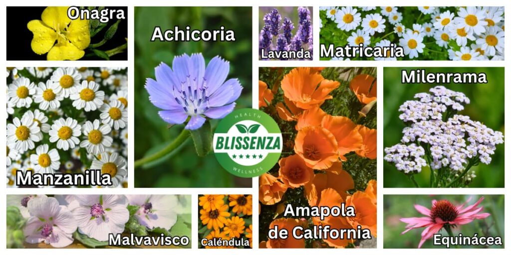 las plantas medicinales más importantes, incluye nombres