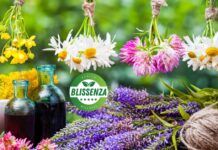 10 Plantas Medicinales Básicas que Todos Deben Tener en Casa variedad de plantas medicinales colgando junto con tinturas herbales